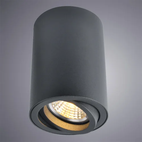 Светильник накладной Sentry A1560PL-1BK Arte Lamp чёрный 1 лампа, основание чёрное в стиле современный круглый фото 2
