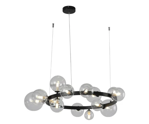 Люстра подвесная Иона 09408-15,19 Kink Light прозрачная на 15 ламп, основание чёрное в стиле современный лофт молекула шар