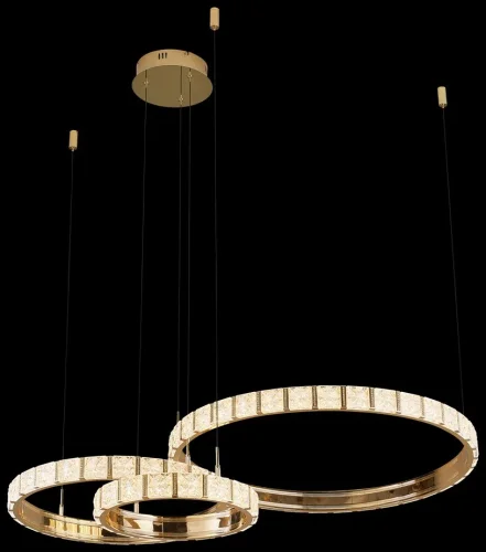 Светильник подвесной LED Vera WE458.03.383 Wertmark прозрачный 1 лампа, основание золотое в стиле хай-тек современный кольца