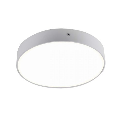 Светильник накладной LED Flashled 2065-30C Favourite белый 1 лампа, основание белое в стиле современный круглый