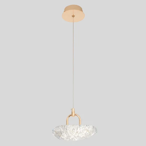 Светильник подвесной LED с пультом FELICIDAD SP9W LED Crystal Lux прозрачный на 1 лампу, основание золотое в стиле современный фото 3