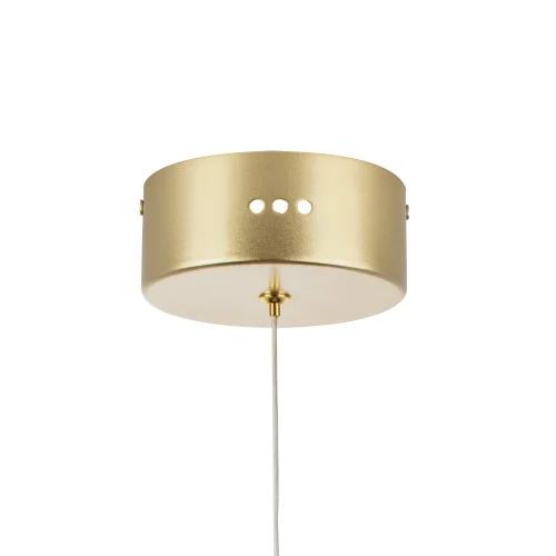 Светильник подвесной LED Acrile 738073 Lightstar прозрачный 1 лампа, основание золотое в стиле минимализм хай-тек современный  фото 4