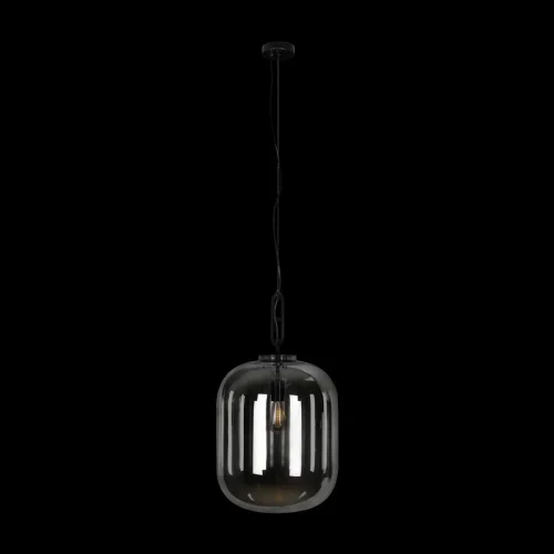 Светильник подвесной Oda 10195/350 Smoke LOFT IT серый чёрный 1 лампа, основание чёрное в стиле современный выдувное фото 2