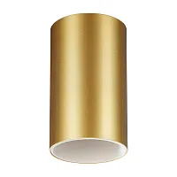 Светильник накладной Elina 370728 Novotech золотой 1 лампа, основание золотое в стиле хай-тек современный круглый