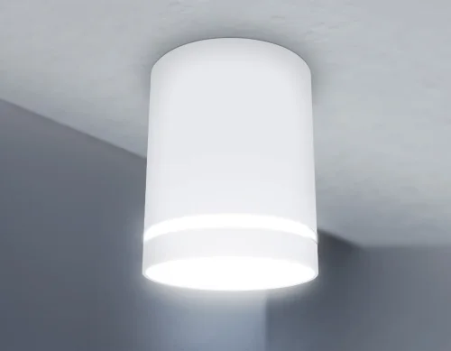 Светильник накладной TN3202 Ambrella light белый 1 лампа, основание белое в стиле современный круглый фото 3