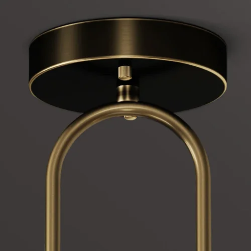 Светильник потолочный ADRIELL CH Brass Black 208131-23 ImperiumLoft прозрачный на 2 лампы, основание латунь в стиле современный фото 7