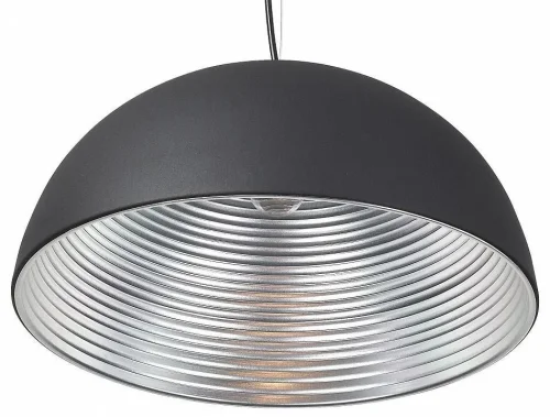 Светильник подвесной SL279.403.01 St-Luce чёрный серебряный 1 лампа, основание чёрное в стиле современный  фото 2