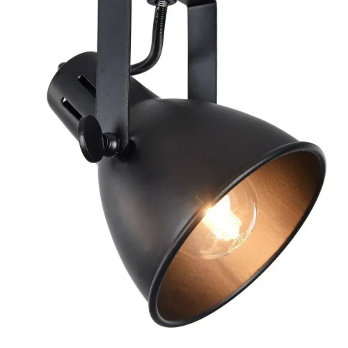 Спот с 3 лампами лофт Ibbi FR4276-CW-03-B Freya чёрный E14 в стиле лофт  фото 2