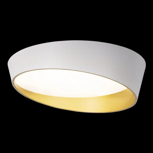 Светильник потолочный LED Coin 10199 White LOFT IT белый золотой 1 лампа, основание белое в стиле современный  фото 2