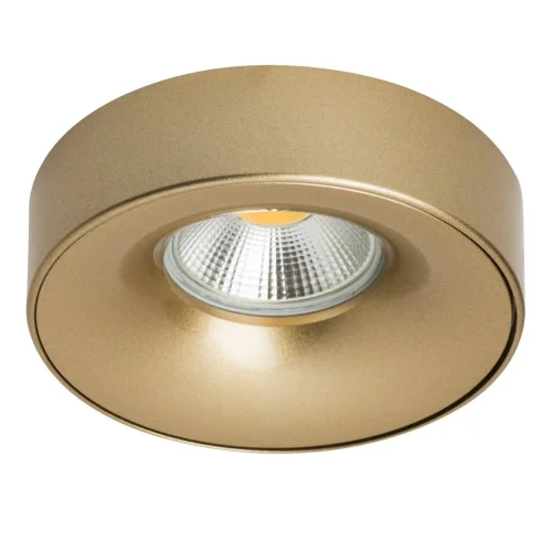 Светильник точечный Levigo L01002323 Lightstar золотой 1 лампа, основание золотое в стиле современный 