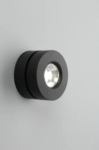 Светильник накладной LED Borgetto OML-101919-12 Omnilux чёрный 1 лампа, основание чёрное в стиле современный хай-тек круглый фото 3