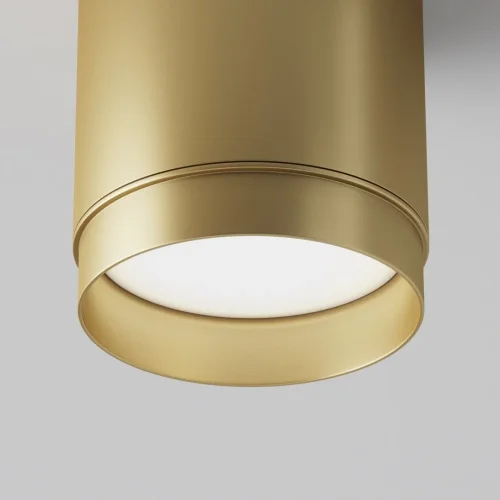 Светильник накладной Polar C088CL-GX53-MG Maytoni матовый золото 1 лампа, основание матовое золото в стиле хай-тек современный  фото 3