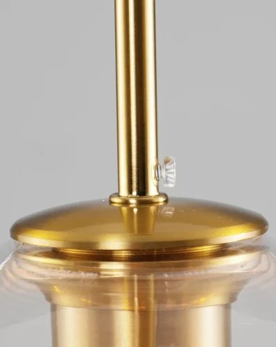 Светильник подвесной Laura V2120-P Moderli прозрачный 1 лампа, основание чёрное в стиле лофт современный  фото 6