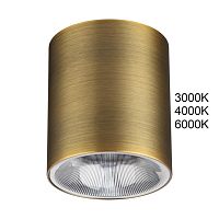 Светильник накладной LED Brim 7137/12CL Odeon Light бронзовый на 1 лампу, основание бронзовое в стиле современный хай-тек круглый
