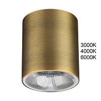 Светильник накладной LED Brim 7137/12CL Odeon Light бронзовый на 1 лампу, основание бронзовое в стиле современный хай-тек круглый