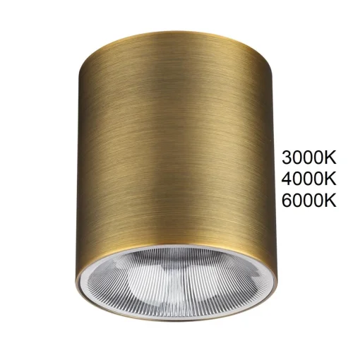 Светильник накладной LED Brim 7137/12CL Odeon Light бронзовый на 1 лампу, основание бронзовое в стиле современный хай-тек круглый