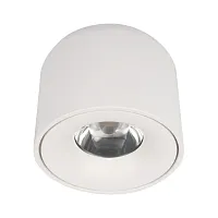 Светильник накладной LED Tictac 10219 White 3000K LOFT IT белый 1 лампа, основание белое в стиле современный круглый