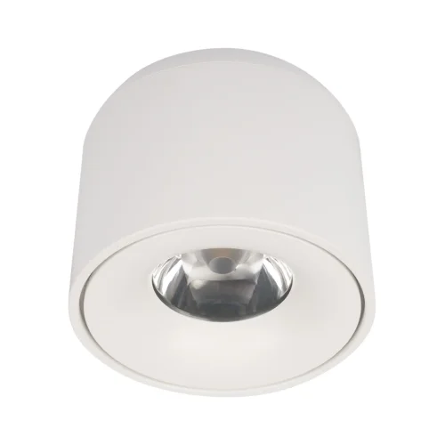 Светильник накладной LED Tictac 10219 White 4000K LOFT IT белый 1 лампа, основание белое в стиле современный круглый