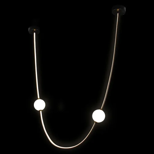Светильник подвесной LED Embrace 10242/800 Black LOFT IT белый 1 лампа, основание чёрное в стиле современный  фото 2