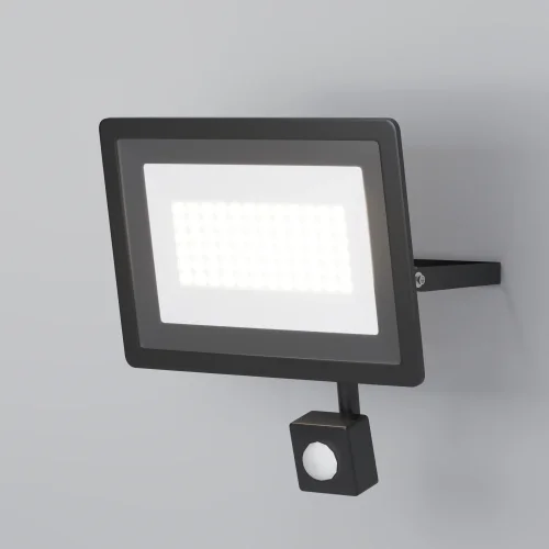 Прожектор LED с датчиком движения Flood FL001-L50B4KSR Maytoni уличный IP чёрный на 1 лампу, плафон прозрачный в стиле современный хай-тек LED фото 2