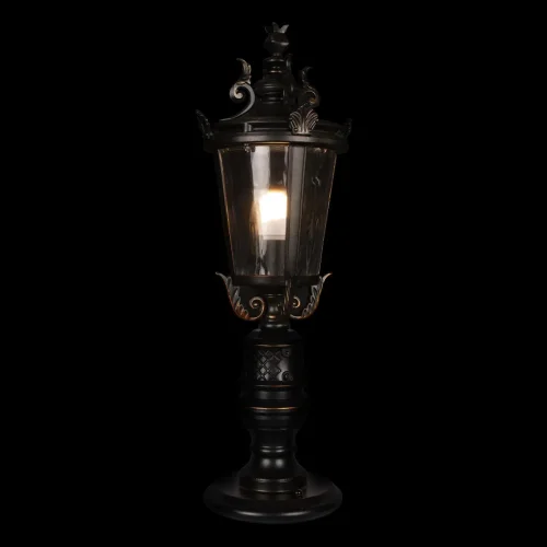 Парковый светильник Verona 100003/540 LOFT IT уличный IP55 чёрный 1 лампа, плафон прозрачный в стиле классический E27 фото 5