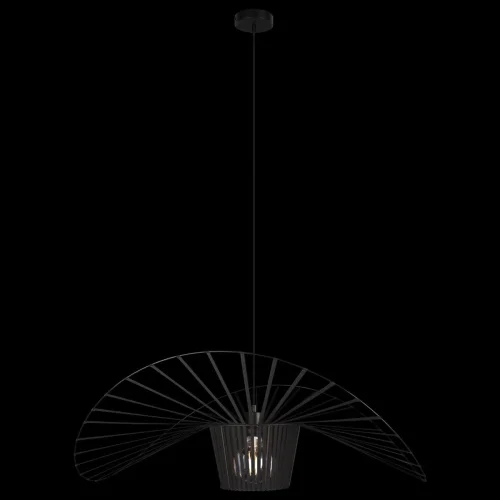Светильник подвесной Chapeau 10246/800 LOFT IT чёрный 1 лампа, основание чёрное в стиле  шляпа фото 2