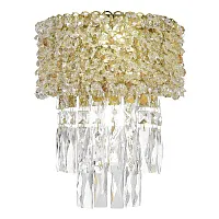 Бра Seline SL1637.301.02 ST-Luce прозрачный янтарный на 2 лампы, основание латунь в стиле классический 