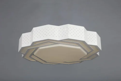 Люстра потолочная LED Daren OML-43607-40 Omnilux белая на 1 лампу, основание белое в стиле хай-тек фото 3