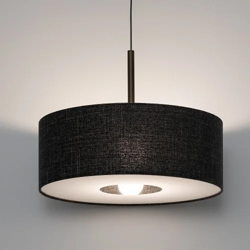 Светильник подвесной Santana M 11659-NW Nowodvorski чёрный на 1 лампу, основание коричневое в стиле лофт фото 2