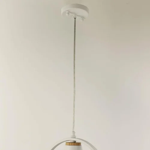 Светильник подвесной Uccello 2939-1P F-promo белый 1 лампа, основание белое в стиле кантри птички фото 3