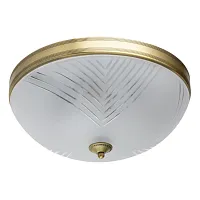 Светильник потолочный Афродита 317015004 MW-Light белый 4 лампы, основание латунь в стиле классический 