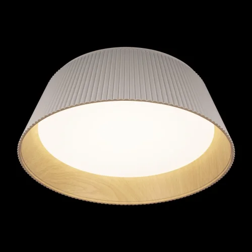Светильник потолочный LED Evans 10224 White LOFT IT белый 1 лампа, основание коричневое белое в стиле современный  фото 4