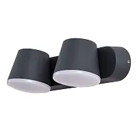 Настенный светильник уличный LED Chico A2212AL-2BK Arte Lamp уличный IP54 чёрный на 2 лампы, плафон чёрный в стиле современный LED