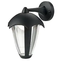 Настенный светильник LED Henry A1661AL-1BK Arte Lamp уличный IP44 чёрный 1 лампа, плафон прозрачный в стиле модерн LED