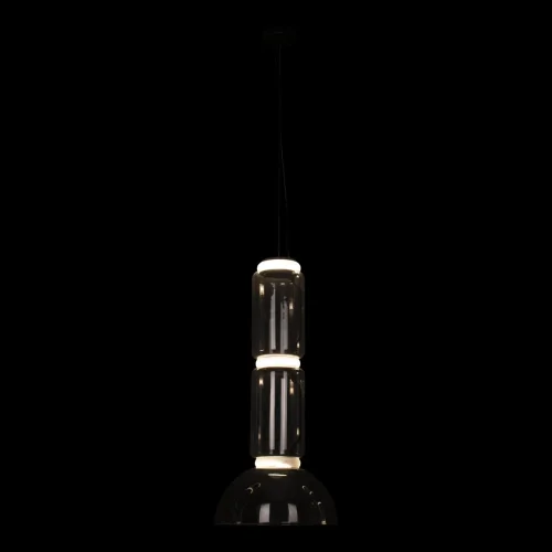 Светильник подвесной LED Noctambule 10192/M LOFT IT прозрачный 1 лампа, основание чёрное в стиле современный  фото 2