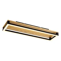 Светильник потолочный LED Firkant 4434-2C F-promo чёрный на 1 лампу, основание коричневое чёрное в стиле современный 