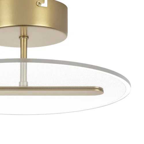 Светильник потолочный LED Acrile 738033 Lightstar прозрачный 1 лампа, основание золотое в стиле минимализм хай-тек современный  фото 5
