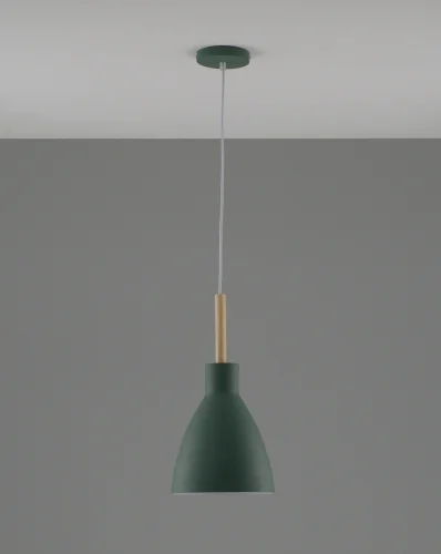 Светильник подвесной Toni V10651-1P Moderli зелёный бежевый 1 лампа, основание зелёное в стиле современный лофт скандинавский  фото 2