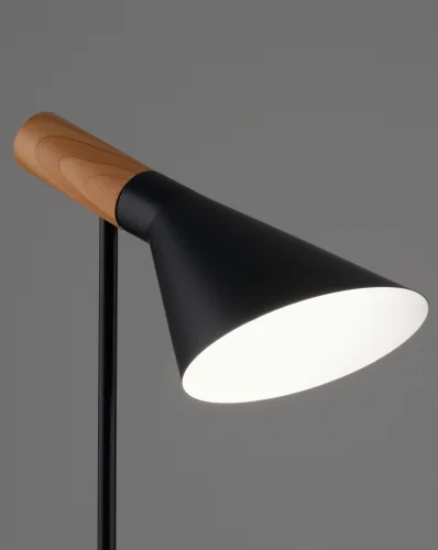 Торшер Turin V11334-1F Moderli чёрный на 1 лампу, основание чёрное в стиле современный скандинавский хай-тек кантри фото 5 Торшер Turin V11334-1F Moderli чёрный на 1 лампу, основание чёрное в стиле современный скандинавский хай-тек кантри фото 5