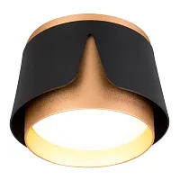 Светильник накладной Amaks A8028PL-1BK Arte Lamp чёрный на 1 лампу, основание чёрное в стиле современный круглый