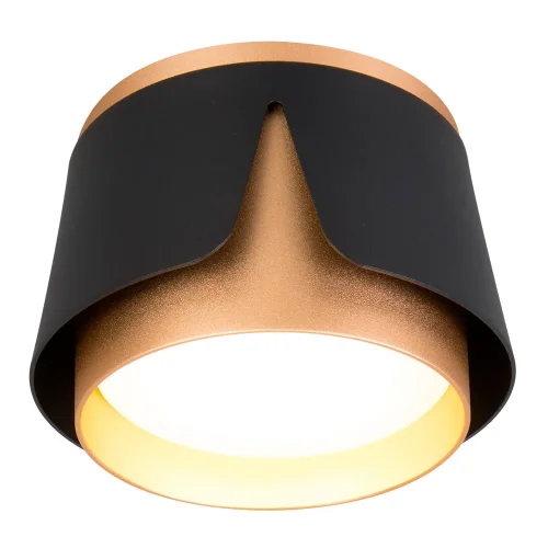 Светильник накладной Amaks A8028PL-1BK Arte Lamp чёрный на 1 лампу, основание чёрное в стиле современный круглый