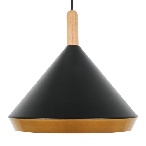 Светильник подвесной Adele MR1380-1P MyFar чёрный 1 лампа, основание чёрное в стиле современный скандинавский лофт  фото 4