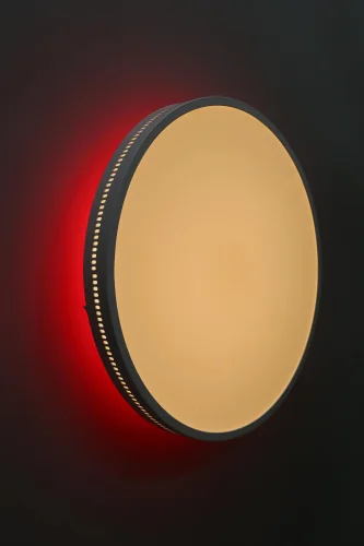 Светильник потолочный LED RGB с пультом Melofon OML-47327-48 Omnilux белый на 1 лампу, основание белое в стиле современный хай-тек с пультом фото 3