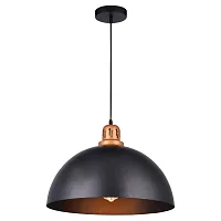 Светильник подвесной лофт Eurica A4249SP-1BK Arte Lamp чёрный 1 лампа, основание чёрное в стиле лофт 