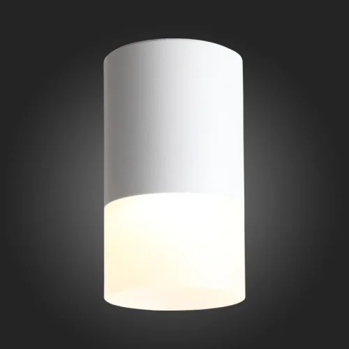 Светильник накладной LED ST100.502.05 ST-Luce белый на 1 лампу, основание белое в стиле хай-тек круглый фото 3