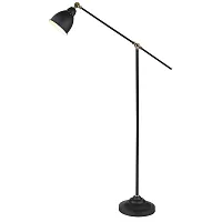 Торшер лофт Braccio A2054PN-1BK Arte Lamp  чёрный 1 лампа, основание чёрное в стиле лофт
