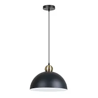 Светильник подвесной Recinto A7053SP-1BK Arte Lamp чёрный на 1 лампу, основание чёрное в стиле лофт современный 