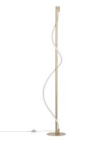 Торшер LED Eva CL210912 Citilux  белый 1 лампа, основание матовое золото в стиле современный

