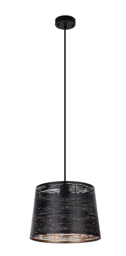 Светильник подвесной Becca 15314S Globo чёрный 1 лампа, основание чёрное в стиле современный  фото 2