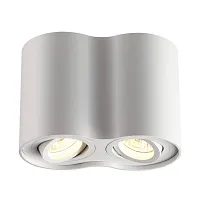 Светильник накладной PILLARON 3564/2C Odeon Light белый 2 лампы, основание белое в стиле хай-тек овал